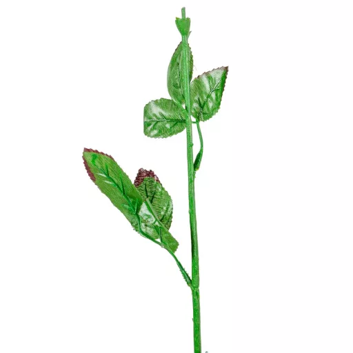 Rózsa virágszár M60cm 10db/köteg 280db/#