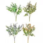 Eukaliptusz bokor 5 ágú M35cm 36db/#