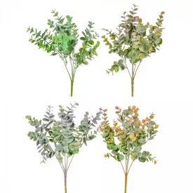 Eukaliptusz bokor 5 ágú M35cm 36db/#