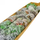 Eukaliptusz bokor 5 ágú M35cm 36db/#