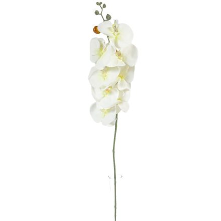 Orchidea szálas hamvas fehér M90cm 36db/#