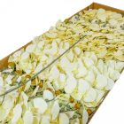 Orchidea szálas hamvas krém M90cm 36db/#