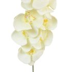 Orchidea szálas hamvas krém M90cm 36db/#