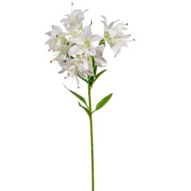 Liliom ág 10v. fehér M68cm 36db/#