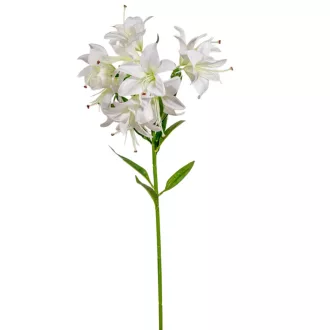 Liliom ág 10v. fehér M68cm 36db/#