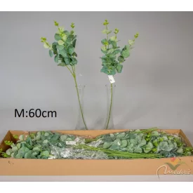 Eukaliptusz ág M60cm 48db/#