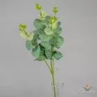 Eukaliptusz ág M60cm 48db/#