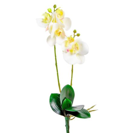 Orchidea ág levéllel gumi M48cm 48db/#