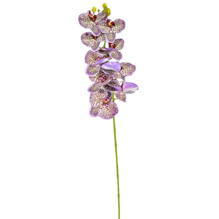 Orchidea szálas gumi M93cm 24db/#