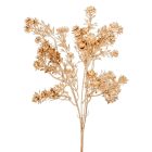 Pozsgás ág 5ágú pezsgő M38cm