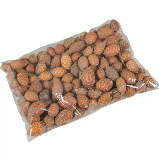 Cane fruit pálma mag termés natúr 20dkg/csom