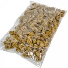 Casuarina szárított antik arany 17dkg/csom 