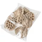 Lótusz szárított 8-10cm pezsgő 9db-os