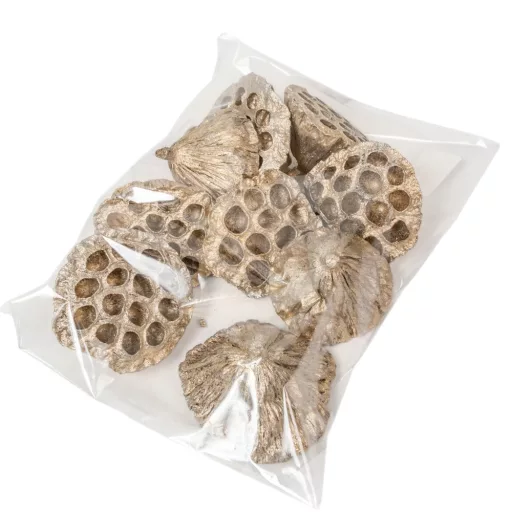 Lótusz szárított 8-10cm pezsgő 9db-os