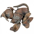 Kobra fej szárított havas szürke 30dkg/csom