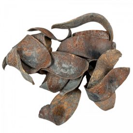 Kobra fej szárított havas szürke 30dkg/csom