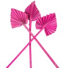 Pálma levél mini szárított pink 7db-os