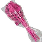 Pálma levél mini szárított pink 7db-os