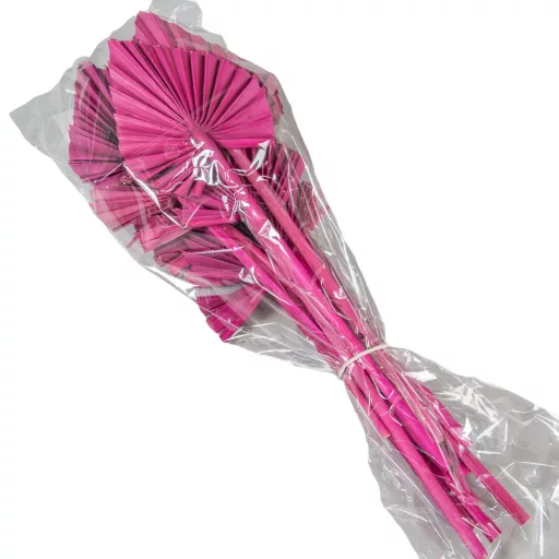 Pálma levél mini szárított pink 7db-os