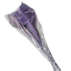 Pálma levél mini szárított lila 10db-os