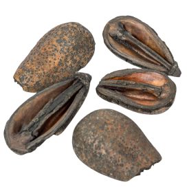 Mike szárított fekete 30dkg/csom