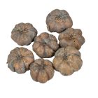 Mini tök termés havas szürke 12dkg/csom