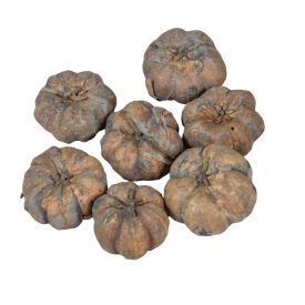 Mini tök termés havas szürke 12dkg/csom