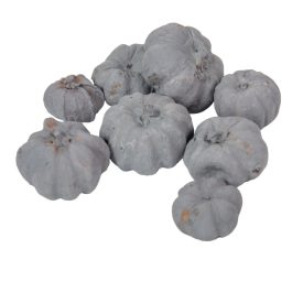 Mini tök termés szürke 12dkg/csom