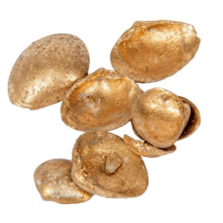 Shell kagyló arany 30dkg/csom