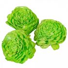 Ming boglárka zöld 6cm 25db-os