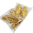 Strobus toboz arany 10-18cm 6db-os