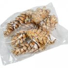 Strabus toboz pezsgő 10-18cm 6db-os