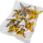 Wild lili szárított aranysárga 11db/csom