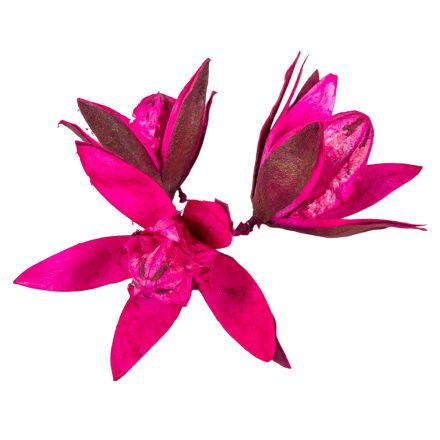 Wild lili szárított pink 11db/csom
