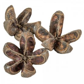 Vad narancs szárított havas szürke 14db-os