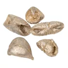 Lali szárított pezsgő 16dkg/csom