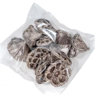 Lótusz 4-5cm pezsgő 10db-os