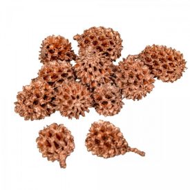 Casuarina szárított bronz 17dkg/csom