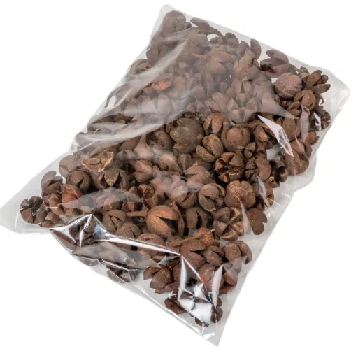Chiruni szárított termés terrakotta 20dkg/csom