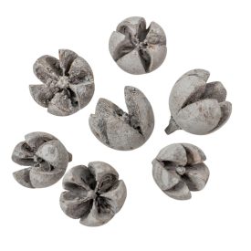 Chiruni szárított termés havas szürke 22dkg/csom