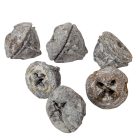 Eukaliptusz gomb havas szürke 28dkg/csom