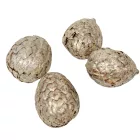 Cane fruit pálma mag termés metál pezsgő 13dkg/csom