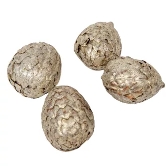 Cane fruit pálma mag termés metál pezsgő 13dkg/csom