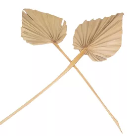 Pálma levél közepes natúr 10db-os