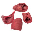 Lali szárított piros 22dkg/csom