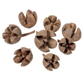 Chiruni szárított termés natúr 26dkg/csom