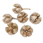 Chiruni szárított termés pezsgő 17dkg/csom