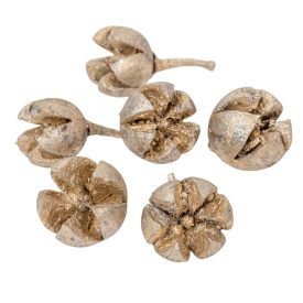 Chiruni szárított termés pezsgő 17dkg/csom