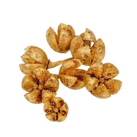 Chiruni szárított termés antik arany 17dkg/csom