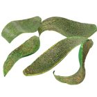 Kobra fej szárított zöld 22dkg/csom